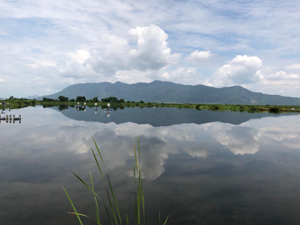 Aquaculture lac élevage en équateur