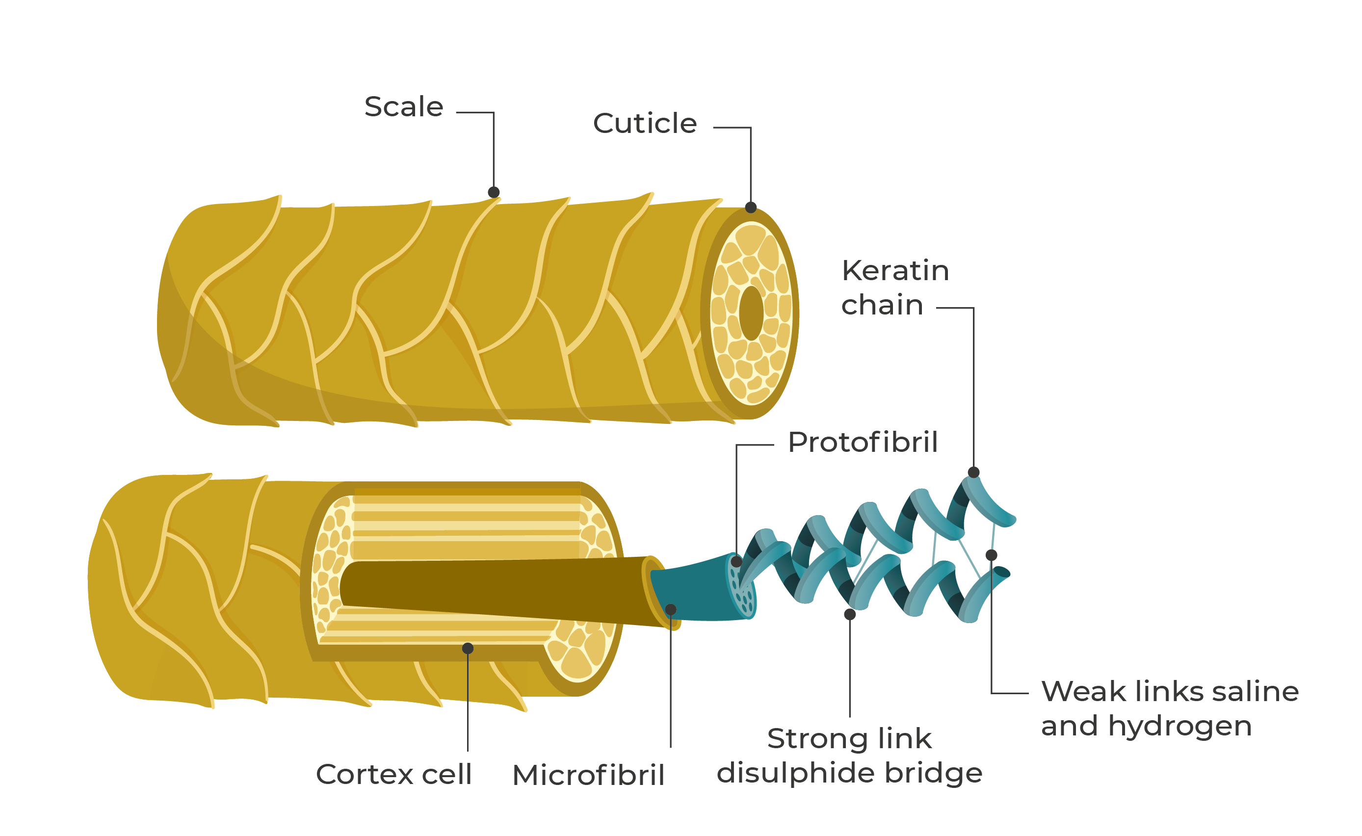 Kera diet BCF Life Sciences