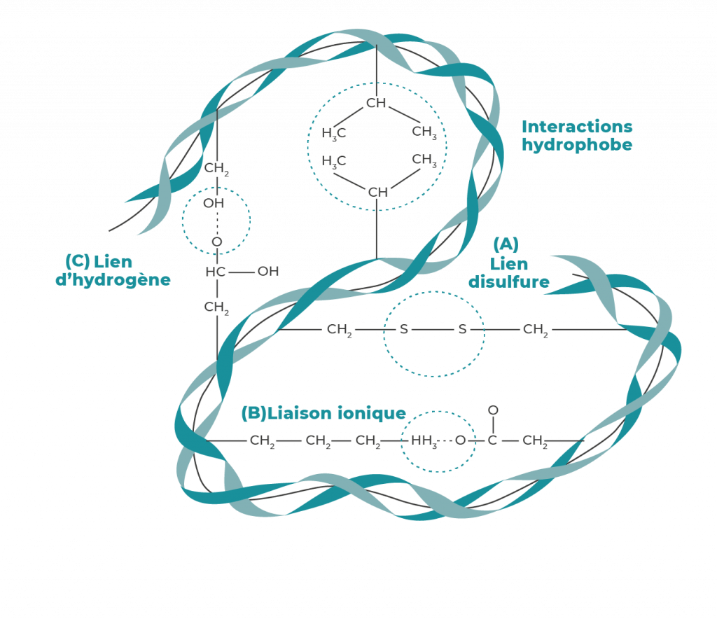 Kera-diet - BCF Life Sciences
