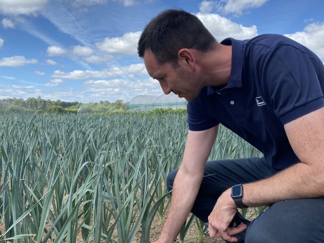 Press Release – Second patent granted for Leafamine® technology