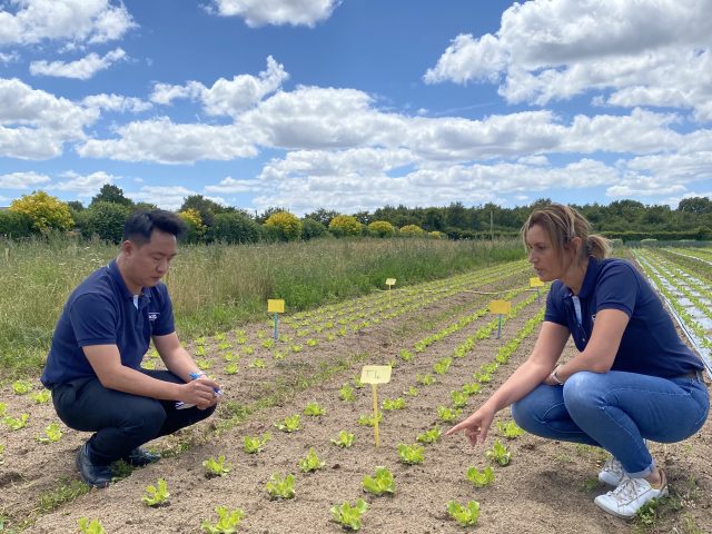Dossier de Presse : Innovation en biostimulants pour une agriculture durable