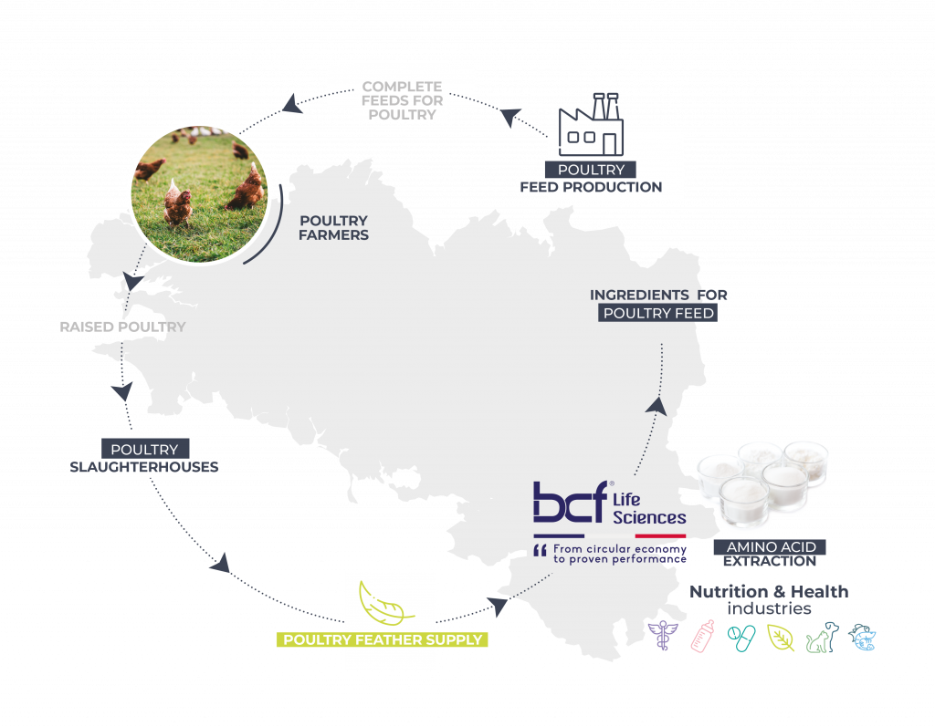 schema-bcf-fr-es_schema-en